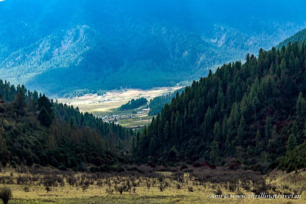 Phobjikha Valley