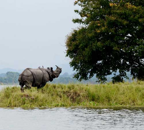 Meghalaya 5 Nights 6 Days