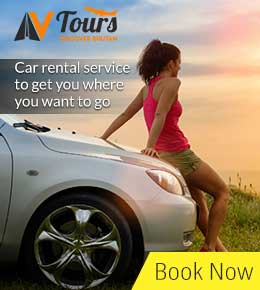 Car Rental