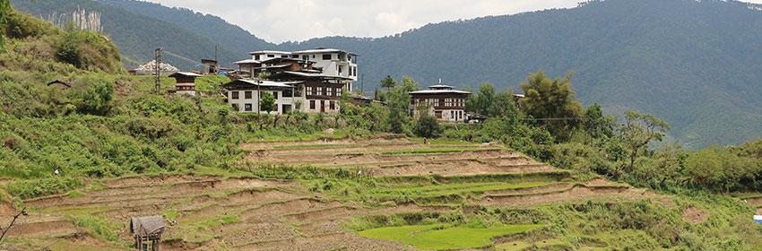 paro